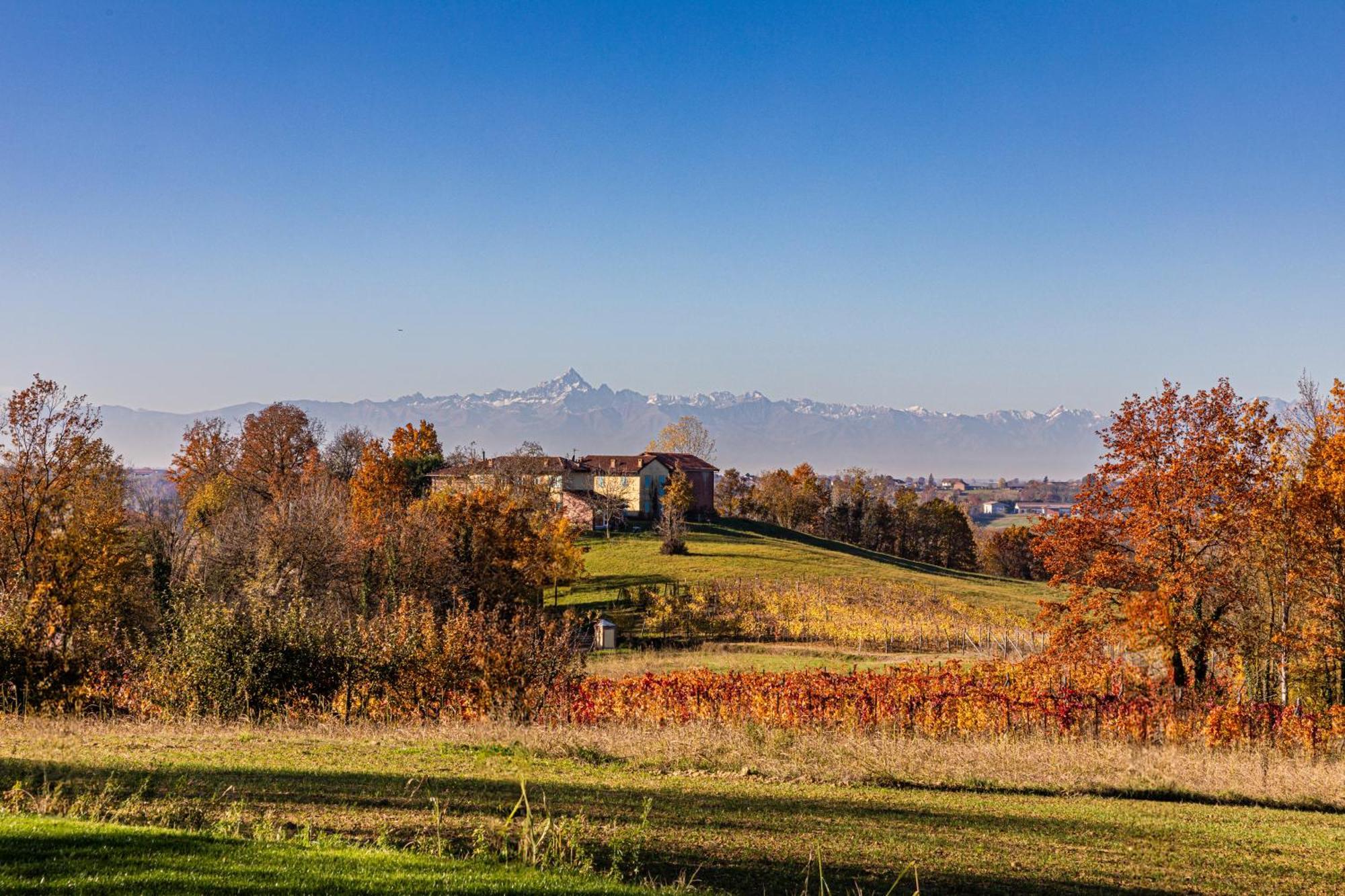 Villa Cascina Rueral à Montafia Extérieur photo